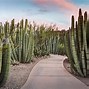 Image result for Arizona Attractions