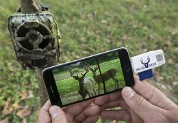 Image result for iPhone Sd Card Reader Trail Camera