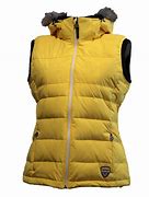 Image result for Yellow Jacket for Phone