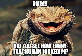 Image result for Meme Angry Lizard
