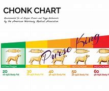 Image result for Cat Size Chart Chonk
