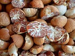Image result for Eating Betel Nuts