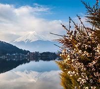Image result for Mount Fuji Lake