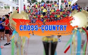 Image result for High School Cross Country Sport