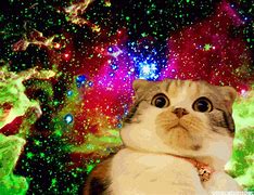 Image result for Galaxy Cat Anime