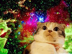Image result for Cat Galaxy-Eyes GIF