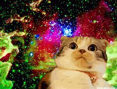 Image result for Galaxy Kitten