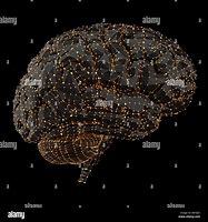 Image result for Human Brain Power