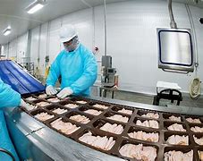 Image result for Food Factories