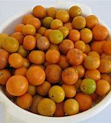 Image result for Small Round Fruit