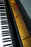 Image result for Grand Piano Keys