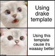 Image result for Cat Drake Meme Template