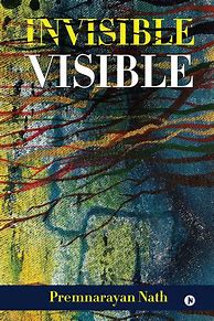 Image result for Invisible Visible Book