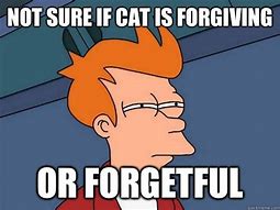 Image result for Forgetful Cat Meme
