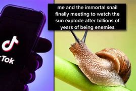 Image result for Green Snail Meme