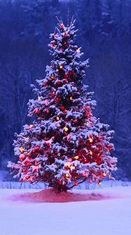 Image result for Christmas Wallpaper for iPhone 5