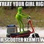 Image result for New Kermit the Frog Memes