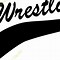 Image result for Wrestling Icon Chicago