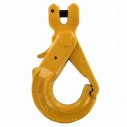 Image result for Crane Hook with Bearing