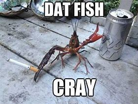 Image result for Funny Crawfish Memes