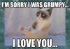 Image result for Sorry Meme Cute