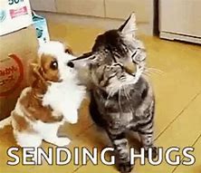 Image result for Hugs Animated GIFs Comfort