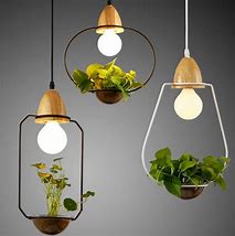 Image result for Hanging Plant Light