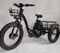 Image result for Three-Wheeled Electric Bike