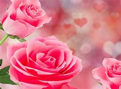 Image result for Rosas De Amor