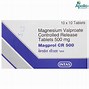 Image result for Magprol CR 500