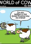 Image result for Cow Jokes Dirty