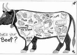 Image result for Delmonico Steak Area On Cow