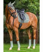 Image result for PVC Saddle Pad