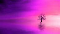 Image result for Nature Wallpaper iPhone X