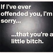 Image result for If I Offended You