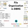Image result for DB DBMS