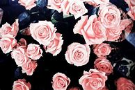 Image result for Facebook Background Girly Wallpapers