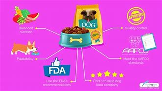 Image result for Good Dog Food Brands