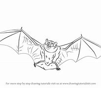 Image result for Brown Bat Drawing