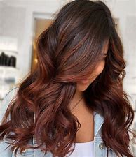 Image result for Chestnut Brown Hair Color Red