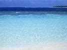 Image result for Free Beach Scene Wallpaper for Computers
