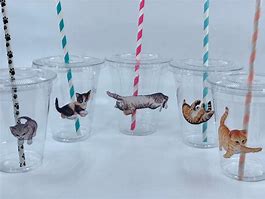 Image result for Pop Up Cat Cup