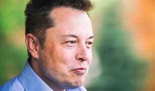 Image result for Elon Musk Beer