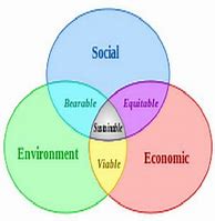 Image result for Sustainable Solutions International