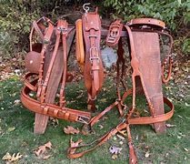 Image result for Rock Climbing Harness Saddle