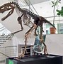 Image result for Giant Water Dinosaur