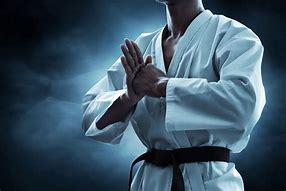 Image result for Karate Person
