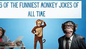 Image result for Hilarious Monkey Jokes