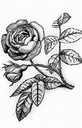Image result for Ink Rose