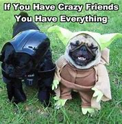 Image result for Friendship and Animals Memes
